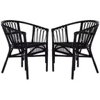 Fauteuil d'appoint en rotin Adriana - ACH6505 - Lot de 2 - Safavieh
