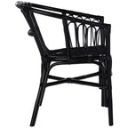 Fauteuil d'appoint en rotin Adriana - ACH6505 - Lot de 2 - Safavieh