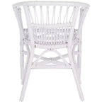 Fauteuil d'appoint en rotin Adriana - ACH6505 - Lot de 2 - Safavieh