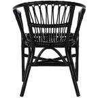 Fauteuil d'appoint en rotin Adriana - ACH6505 - Lot de 2 - Safavieh
