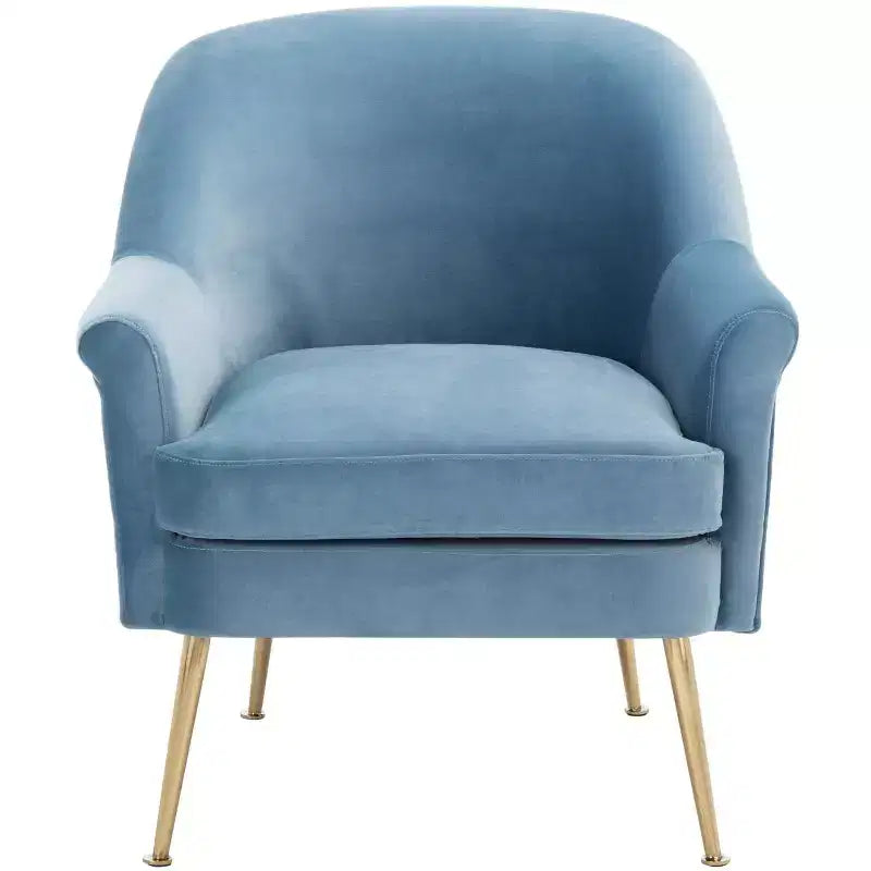 Rodrik Accent Chair - ACH4005 - Safavieh