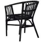 Fauteuil d'appoint en rotin Adriana - ACH6505 - Lot de 2 - Safavieh